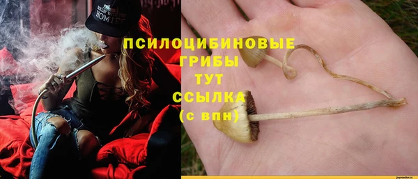 каннабис Абаза
